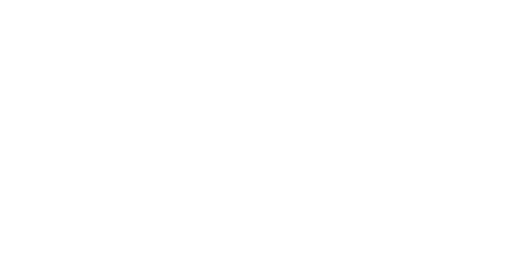 15.1年