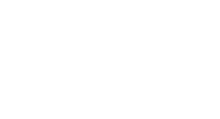 255名