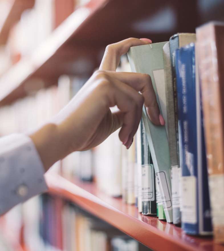 人材育成とキャリア