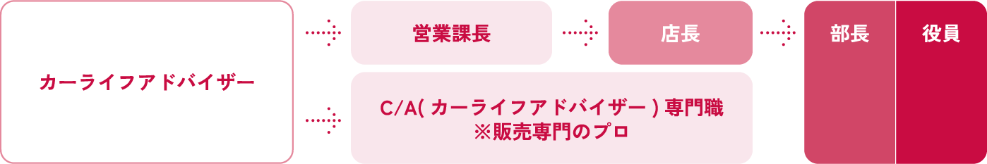 キャリアステップ図