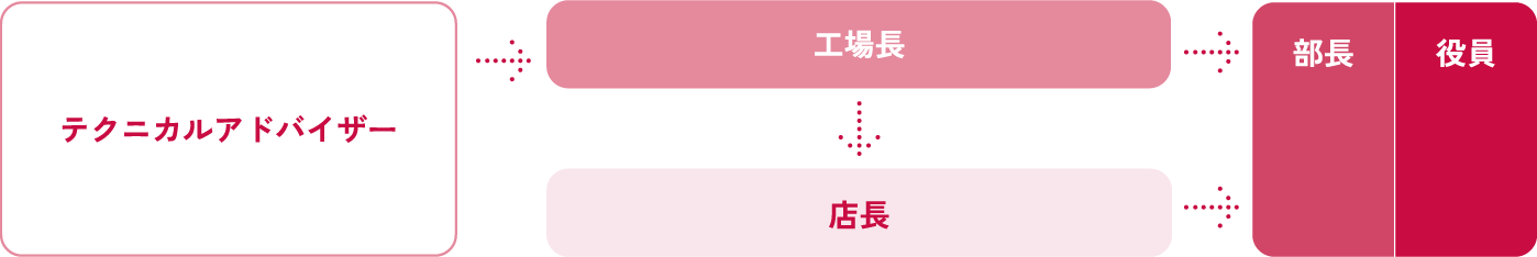 キャリアステップ図