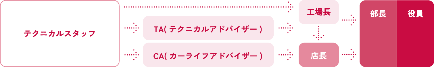 キャリアステップ図